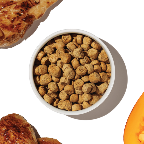 The Honest Kitchen Grain Free Chicken Protein Plus+ Clusters