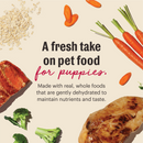 The Honest Kitchen Wholemade Whole Grain Chicken & Salmon for Puppies