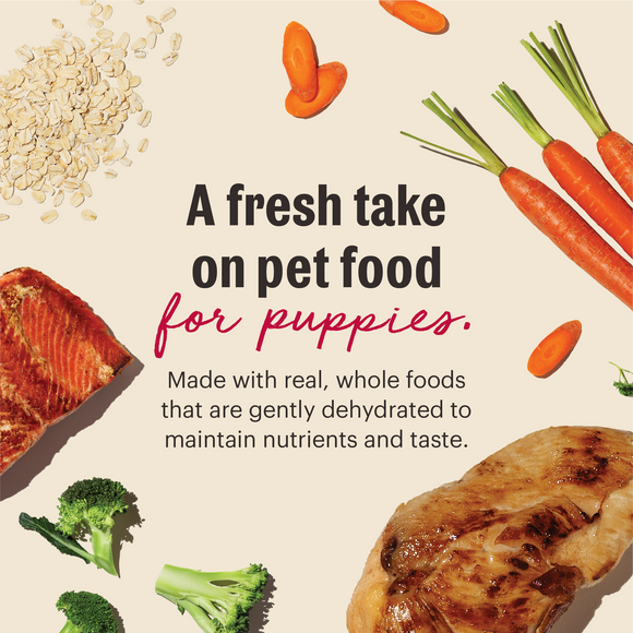 The Honest Kitchen Wholemade Whole Grain Chicken & Salmon for Puppies