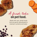 The Honest Kitchen - Dehydrated - Grain Free Chicken (Cat Food)