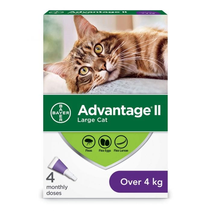 Bayer Advantage II - Topical Flea Treatment for Cats (For Cats Over 4kg) - ARMOR THE POOCH