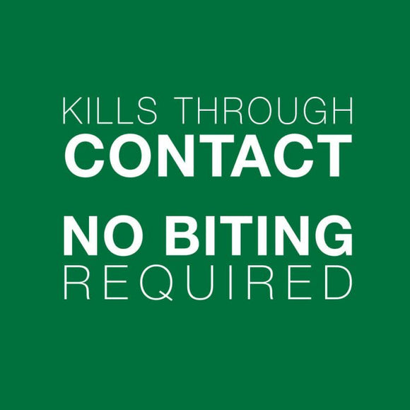 Bayer Advantage II | Flea Treatment for Cats Over 4kg | ARMOR THE POOCH