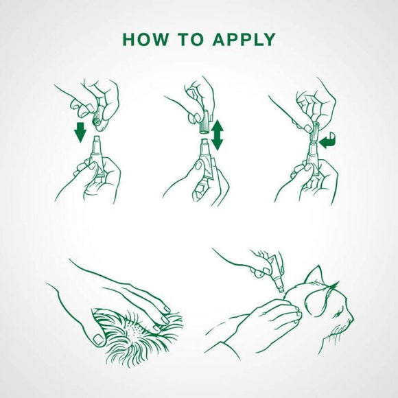 Bayer - Advantage II - Topical Flea Treatment for Cats (For Cats 2.3kg - 4kg)-ARMOR THE POOCH