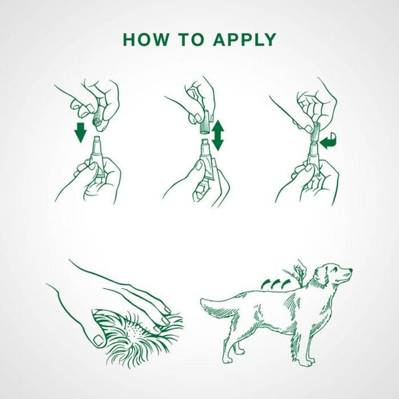 Bayer - Advantage II - Topical Flea Treatment for Dogs (For Dogs 4.6kg-11kg)-ARMOR THE POOCH