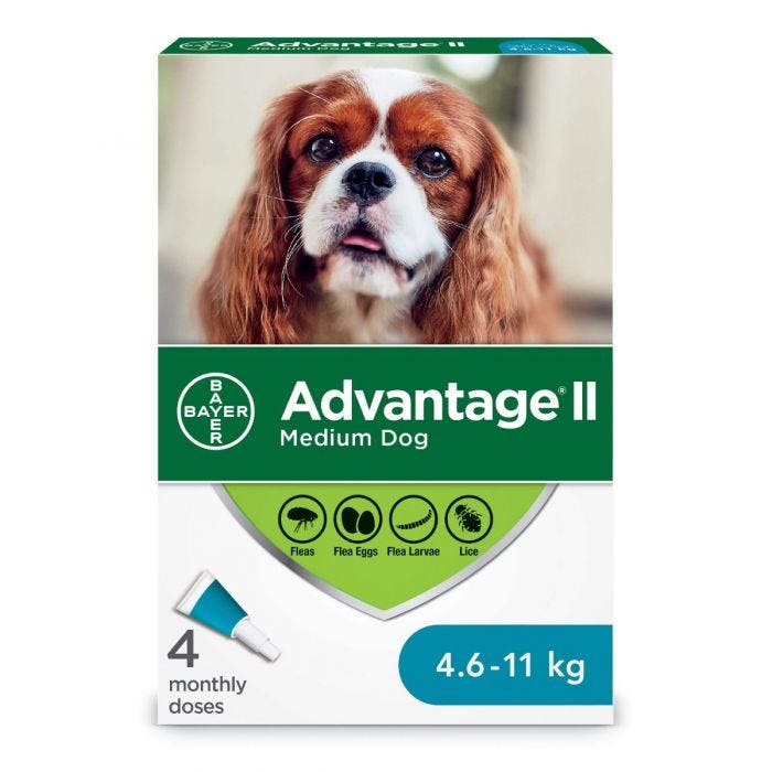 Bayer - Advantage II - Topical Flea Treatment for Dogs (For Dogs 4.6kg-11kg)-ARMOR THE POOCH
