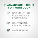 Bayer - Advantage II - Topical Flea Treatment for Dogs (For Dogs 11kg-25kg)-ARMOR THE POOCH