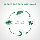 Bayer - Advantage II - Topical Flea Treatment for Dogs (For Dogs Over 25kg)-ARMOR THE POOCH