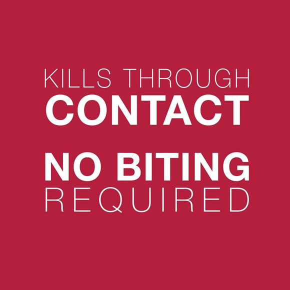 Bayer - K9 Advantix II - Topical Flea and Tick Treatment for Dogs (For Dogs 4.6kg - 11kg)-ARMOR THE POOCH