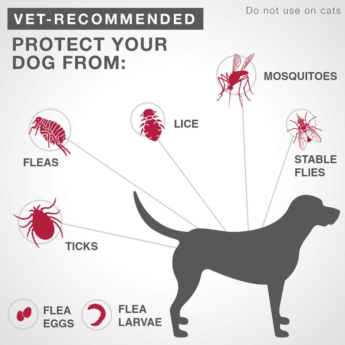 Bayer k9 advantix ii hotsell flea treatment