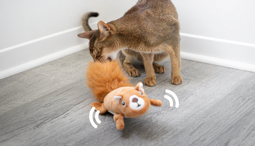BeOneBreed | Electronic Squirrel | Cat Toy