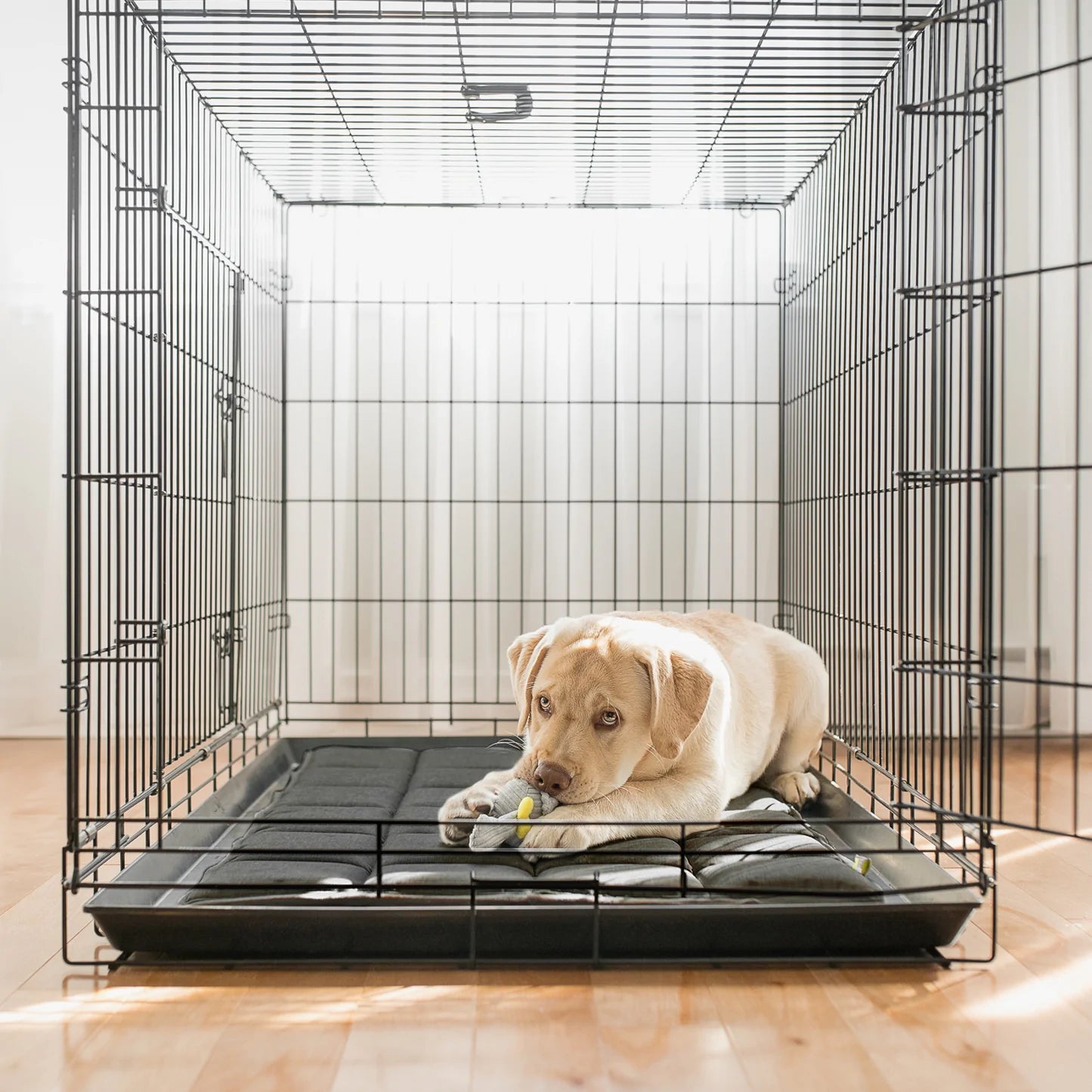 BeOneBreed | Reversible Crate Mat (Dark Gray) | Dog Bed