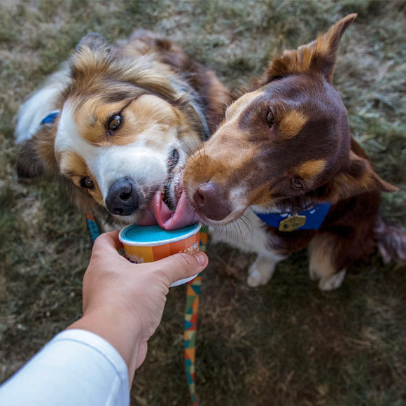 Big Country Raw - FROZEN GOAT - Fundae (Frozen Creamy Treat)