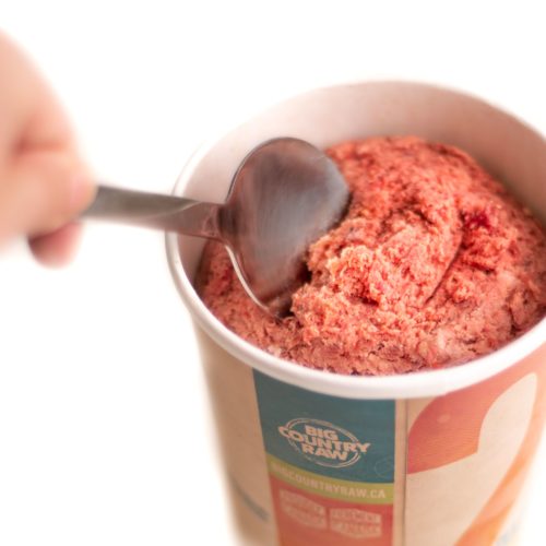 Dog Food Store Near Me Toronto-ARMOR THE POOCH