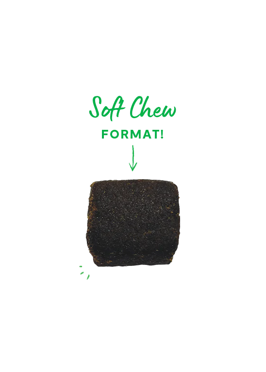 Open Farm | Calming Supplement Chews for Dogs | ARMOR THE POOCH