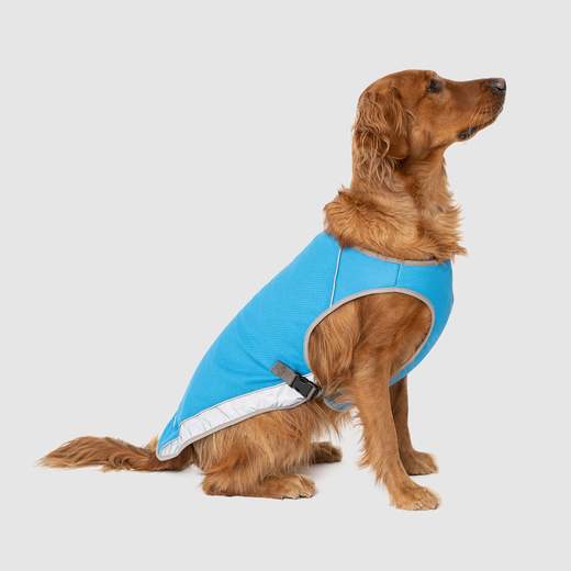 Canada Pooch - Chill Seeker Cooling Vest