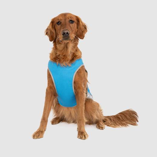Canada Pooch - Chill Seeker Cooling Vest