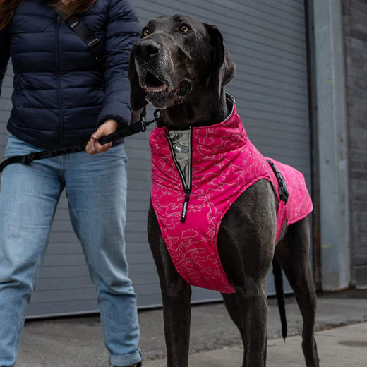 Canada Pooch - Expedition Coat 2.0 (Pink Reflective Camo) | Dog Jacket | ARMOR THE POOCH
