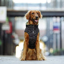 Canada Pooch - Expedition Coat 2.0 (Reflective Camo)