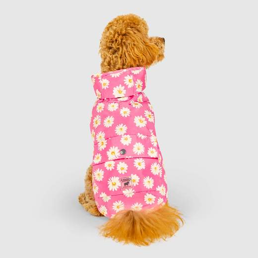Canada Pooch - Pick Me Poncho (Daisy)