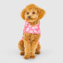 Canada Pooch - Pick Me Poncho (Daisy)