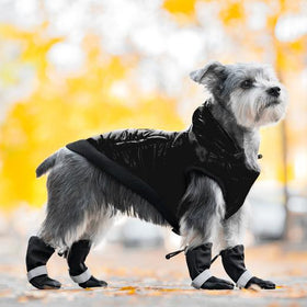 Canada Pooch-Soft Shield Boots (Black)-ARMOR THE POOCH