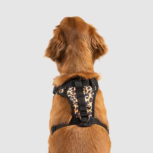 Canada Pooch - The Everything Harness Water-Resistant Series - Leopard