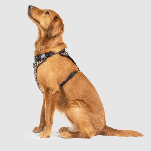 Canada Pooch - The Everything Harness Water-Resistant Series - Leopard