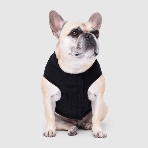 Canada Pooch - Ultimate Stretch Vest