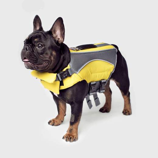 Canada Pooch - Wave Rider Lifer Jacket