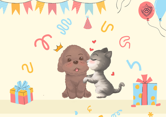 ARMOR THE POOCH E-GIFT CARD