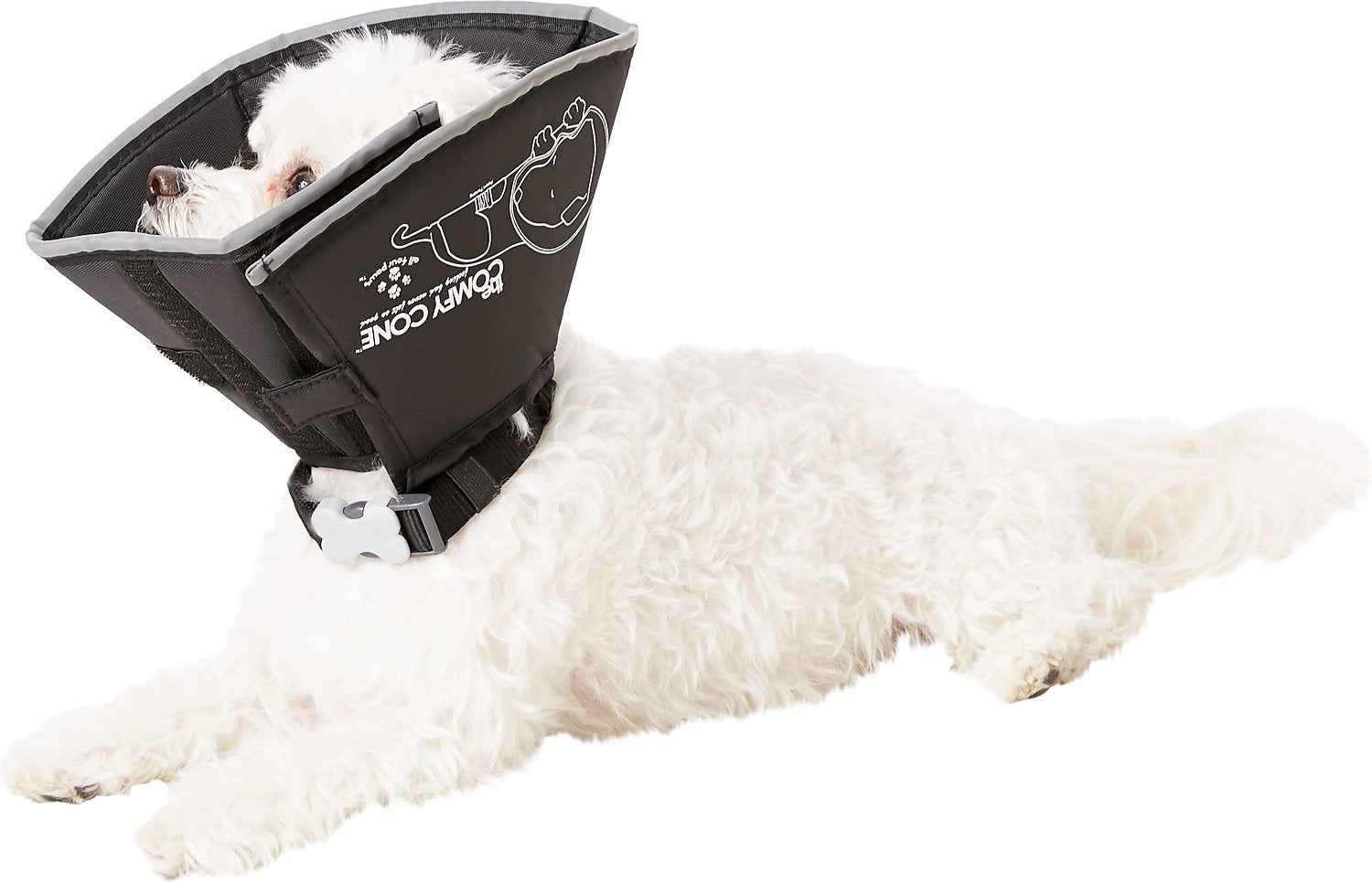 Inflatable Collar All Four Paws Comfy Cone Dog Collar Chewy Dog