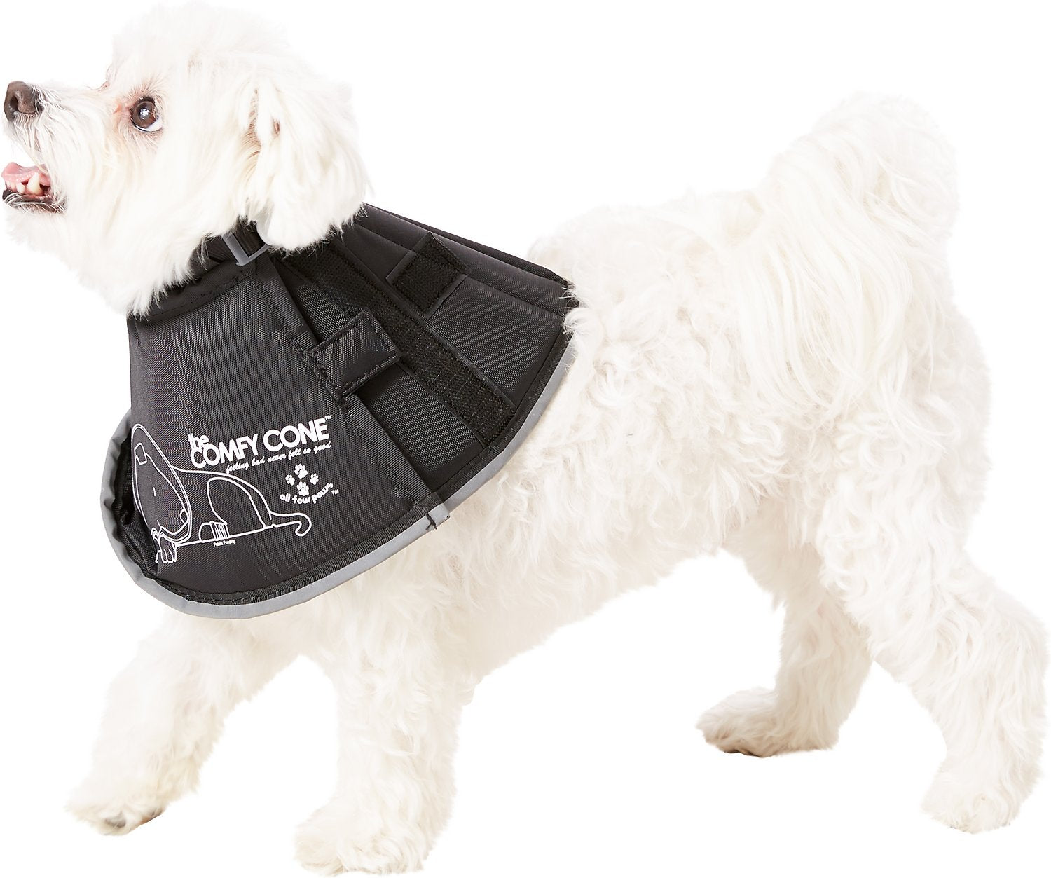 Pet Recovery Collar | ARMOR THE POOCH