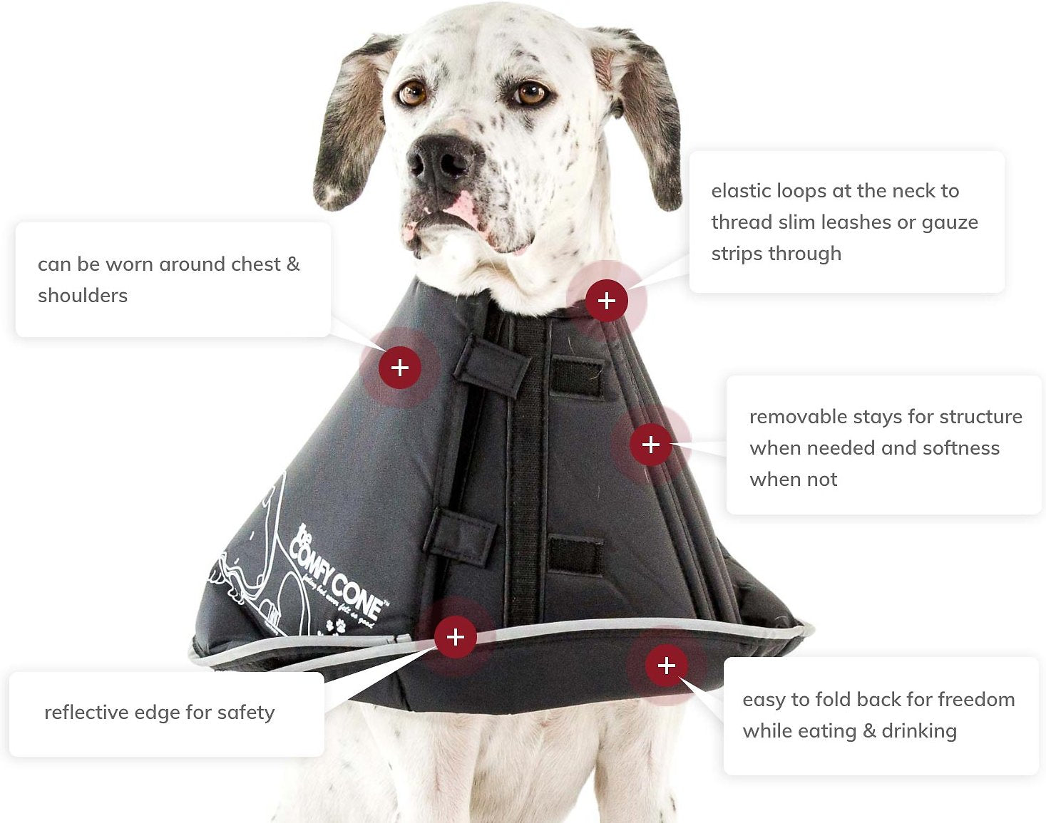 Animal neck cone best sale