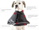 Pet Recovery Collar | ARMOR THE POOCH