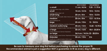 Pet Recovery Collar | ARMOR THE POOCH