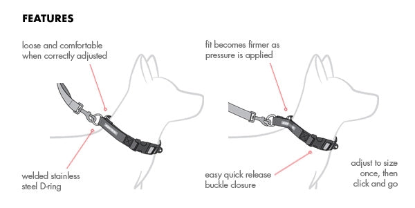 EzyDog Checkmate Training Collar For Dogs ARMOR THE POOCH