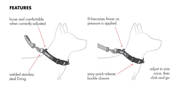 EZYDOG | Checkmate Training Collar | Dog Training Collar
