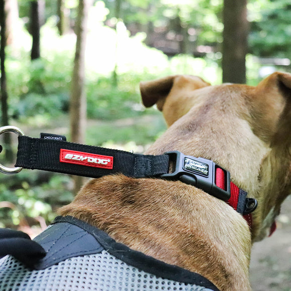 EZYDOG | Checkmate Training Collar | Dog Training Collar