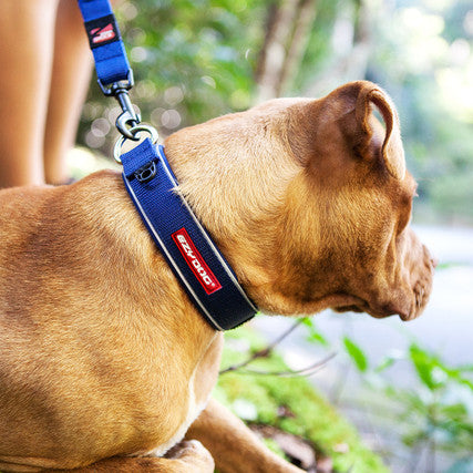 EzyDog | Neo Classic Collar | Dog Collar