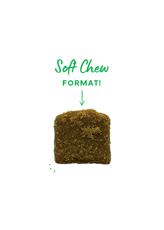 Open Farm | Hip & Joint Supplement Chews | Dog Supplements Near Me Markham | ARMOR THE POOCH