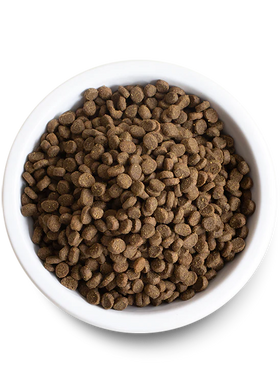 Open Farm | Grain-Free Chicken & Turkey Kitten Food | Dry Kitten Food Near Me Toronto | ARMOR THE POOCH