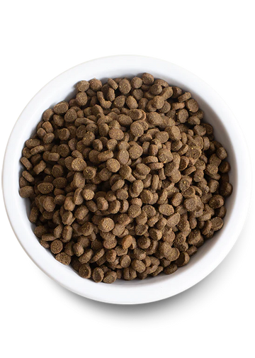 Open Farm | Grain-Free Chicken & Turkey Kitten Food | Dry Kitten Food Near Me Toronto | ARMOR THE POOCH