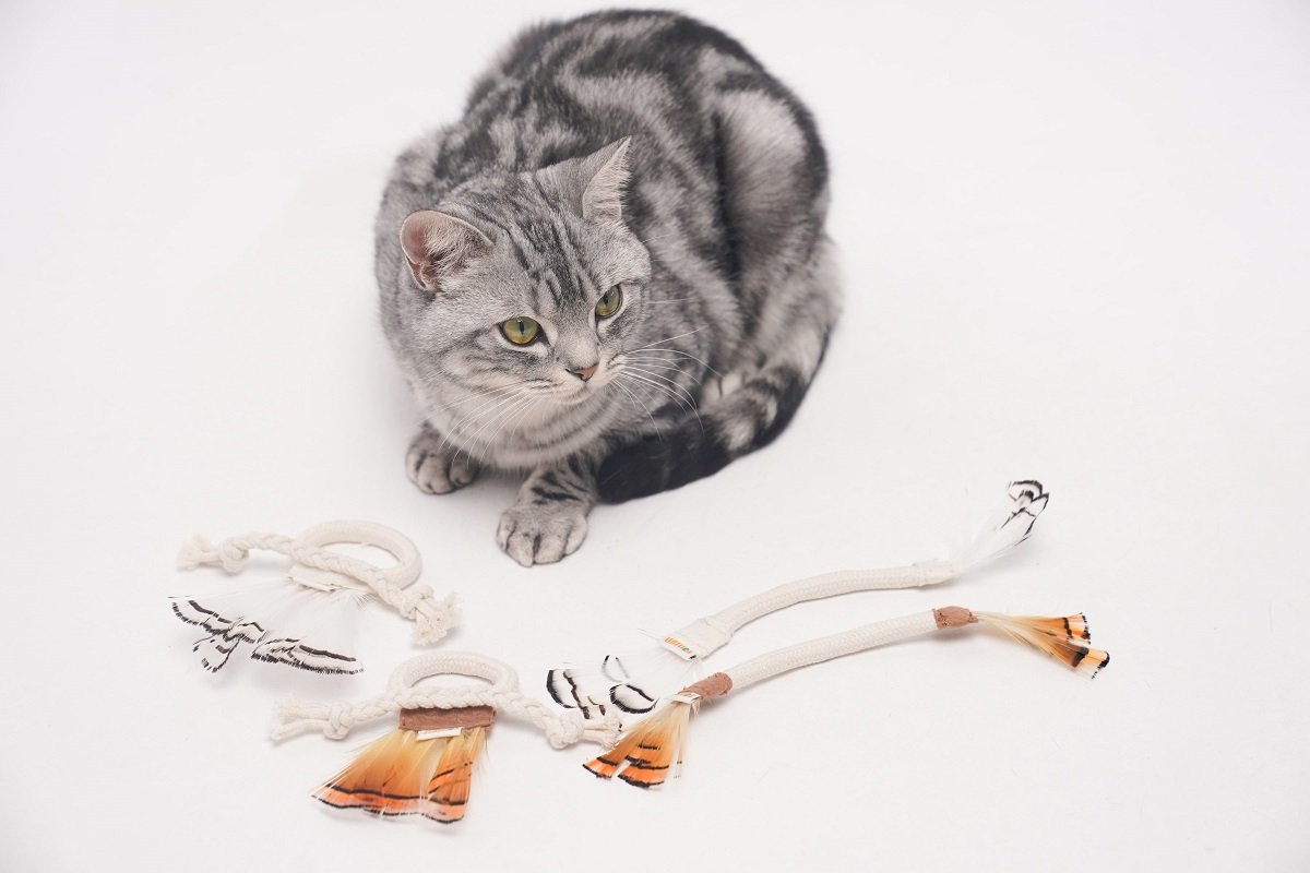 LINSLINS - Cotton Rope Feather Toy (For Cats)