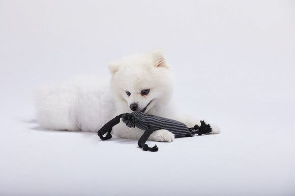 LINSLINS - Primate Family Squeaky Toy (For Dogs)