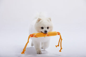 LINSLINS - Primate Family Squeaky Toy (For Dogs)