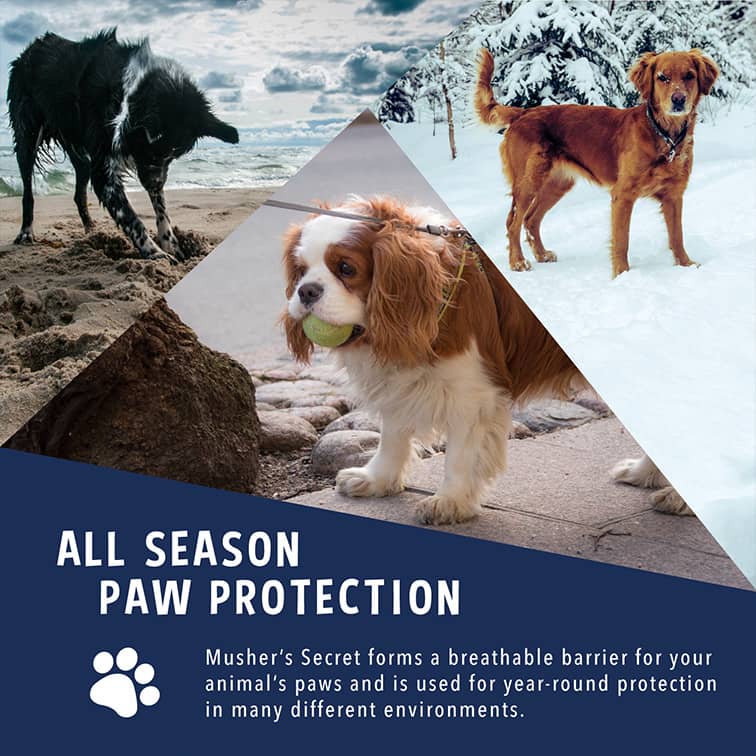 Musher's Secret | Paw Wax | Paw Protection | ARMOR THE POOCH