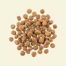 NOW FRESH - Grain Free Fish Recipe for Adult Dogs