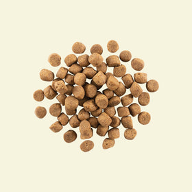 NOW FRESH - Grain Free Adult Dog Food Recipe