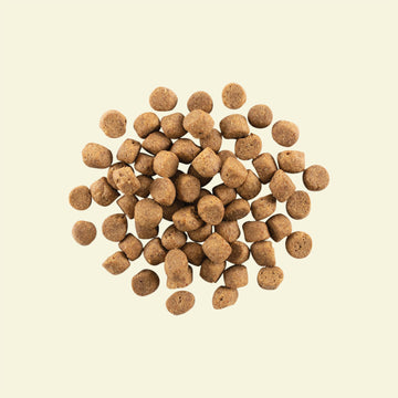NOW FRESH - Grain Free Adult Dog Food Recipe