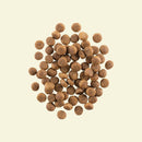 NOW FRESH - Grain Free Puppy Dog Food Recipe